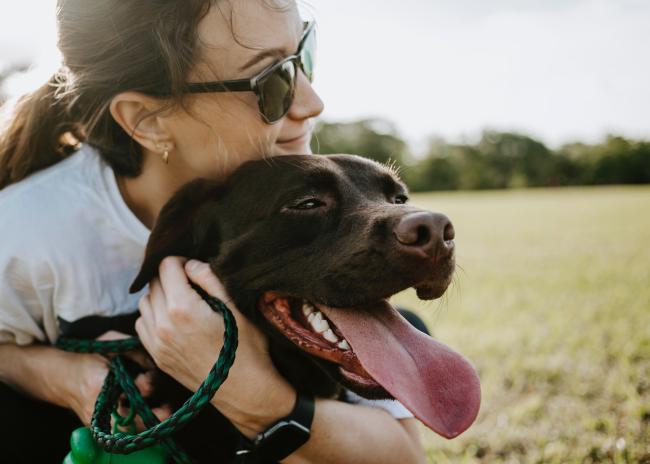 Pet sitter hugging chocolate labrador