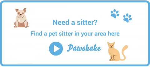 Find a pet sitter