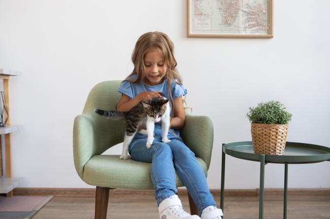 Cat and little girl